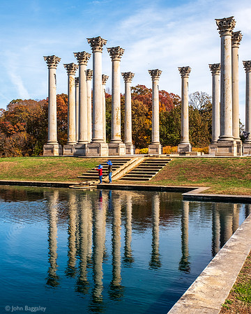 Columns and Foliage