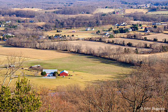 Snowless winter in rural Maryland