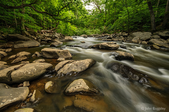 Lush Green at Rock Creek