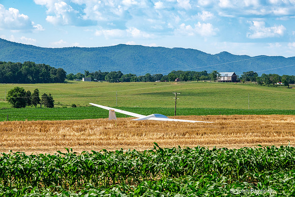 Glider in a Cornfield