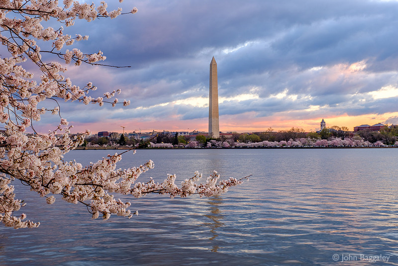 Springtime Sunrise at the Tidal Basin