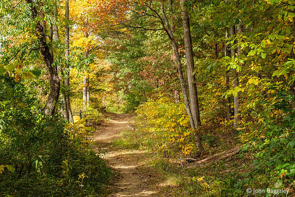 A beautiful path
