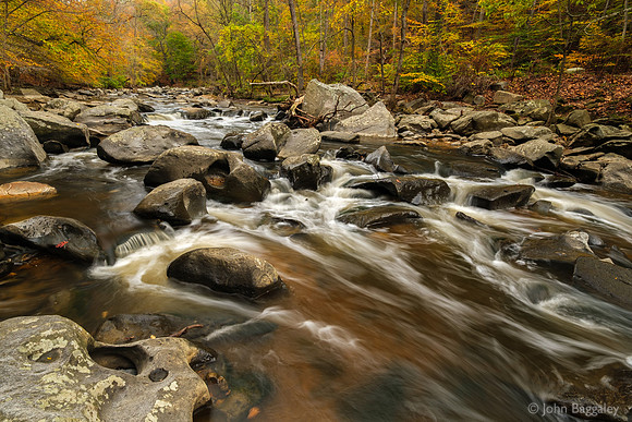 Autumn and Rapids