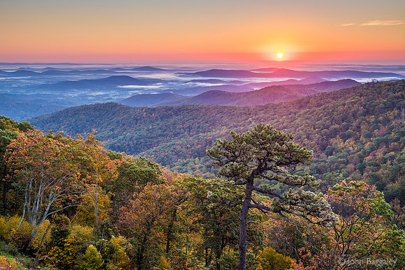 Autumn Sunrise in Shenandoah