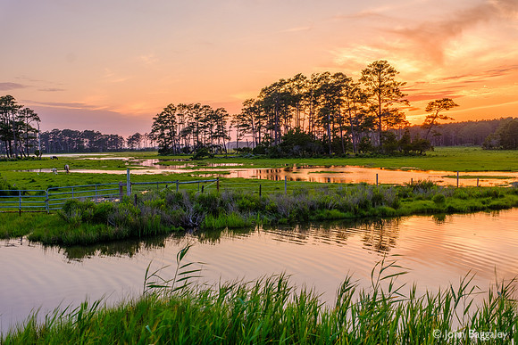 Sunset on Chincoteague Wetlands 2