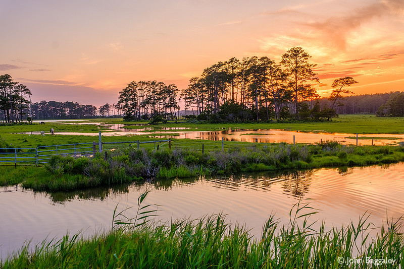 Sunset on Chincoteague Wetlands 2