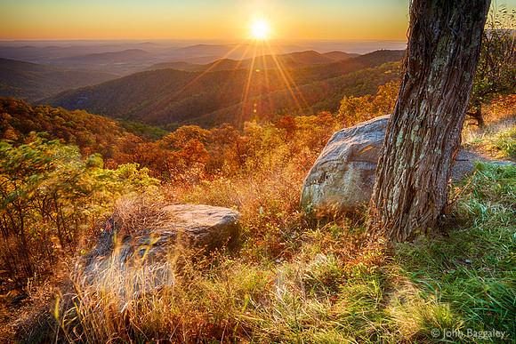 Autumn Sun Star